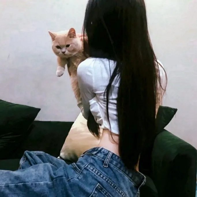 派特森与芬达猫：圣诞奇遇